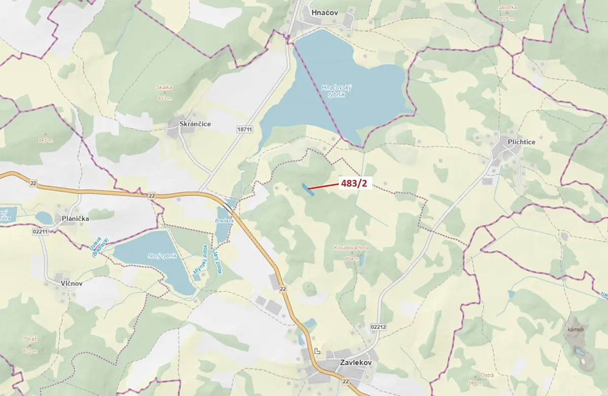 Dražba lesa 2895 m²